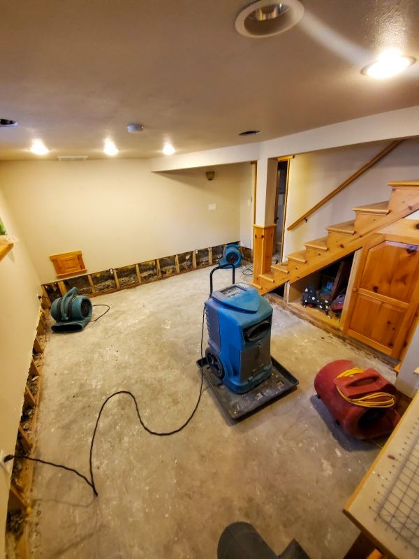 Basement Restoration Service in Chandler, AZ
