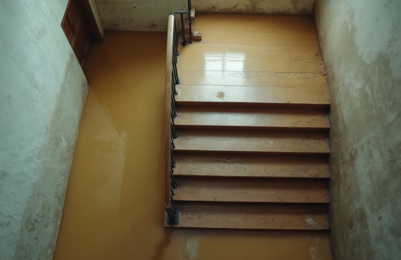 Crawlspace Water Cleanup in Gilbert, AZ