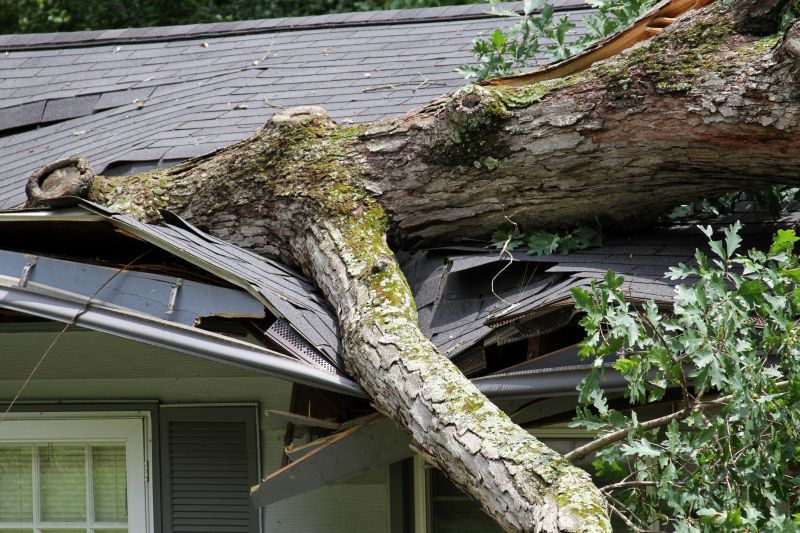 Storm Damage Cleanup in Scottsdale, AZ