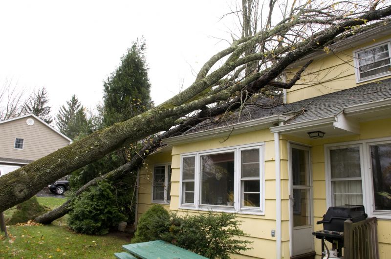 Storm Recovery Service in Scottsdale, AZ