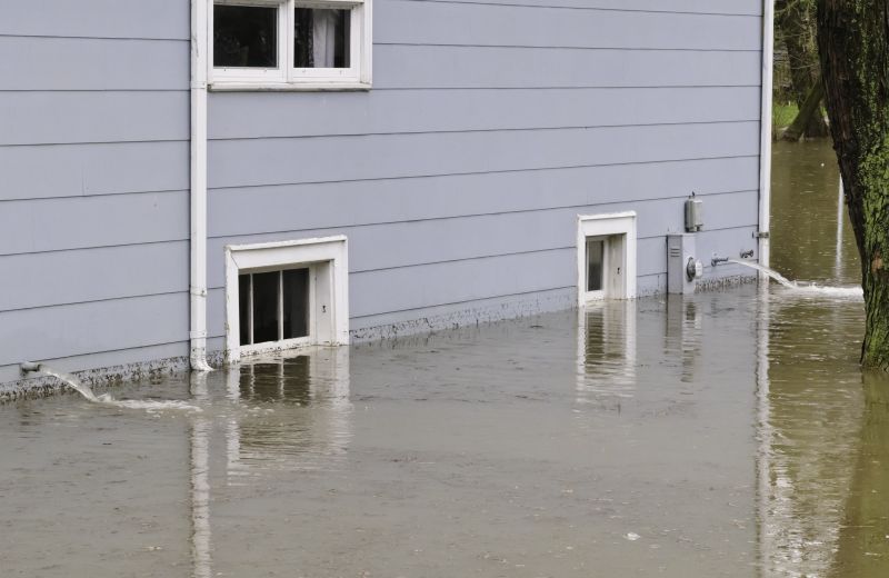 Water Damage Cleanup in Chandler, AZ