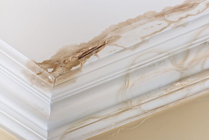 Water Damage Restoration in Scottsdale, AZ