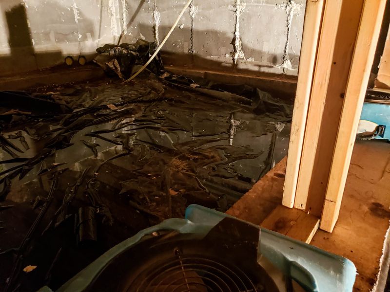 Water Extraction Service in Phoenix, AZ