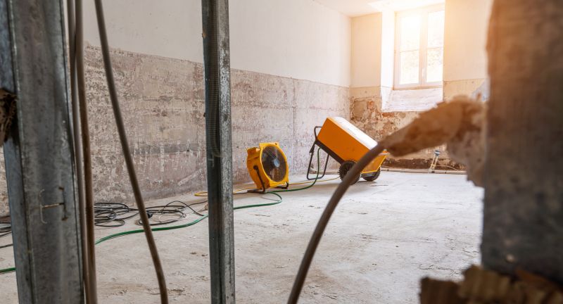 Emergency Water Removal in Mesa, AZ